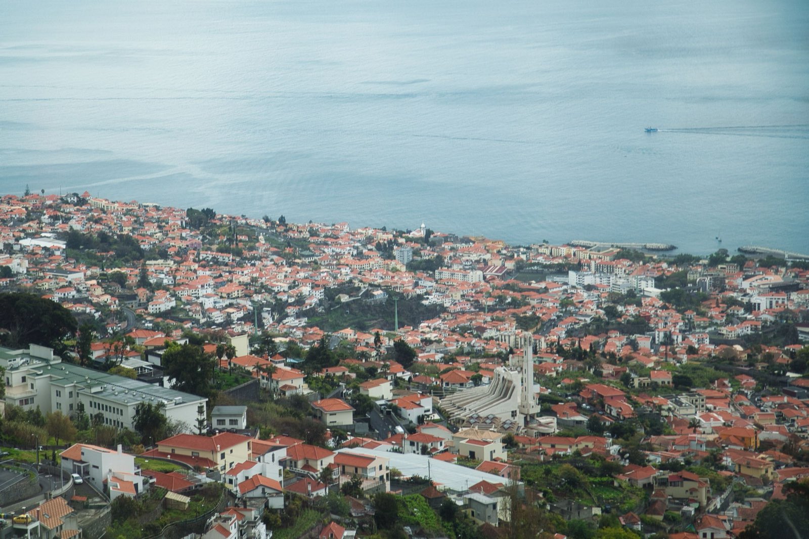A high view over Funchal’s dense orange-tiled rooftops running down to the harbour breakwater, a boat crossing the flat grey Atlantic beyond.